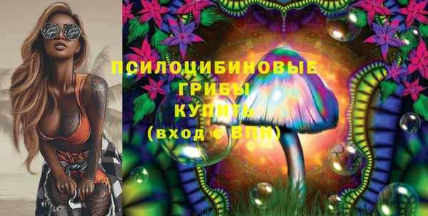 не бодяженный Козельск
