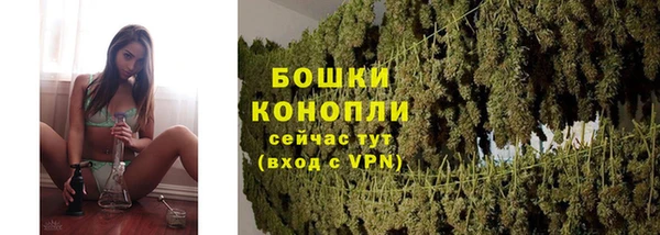 дживик Козловка